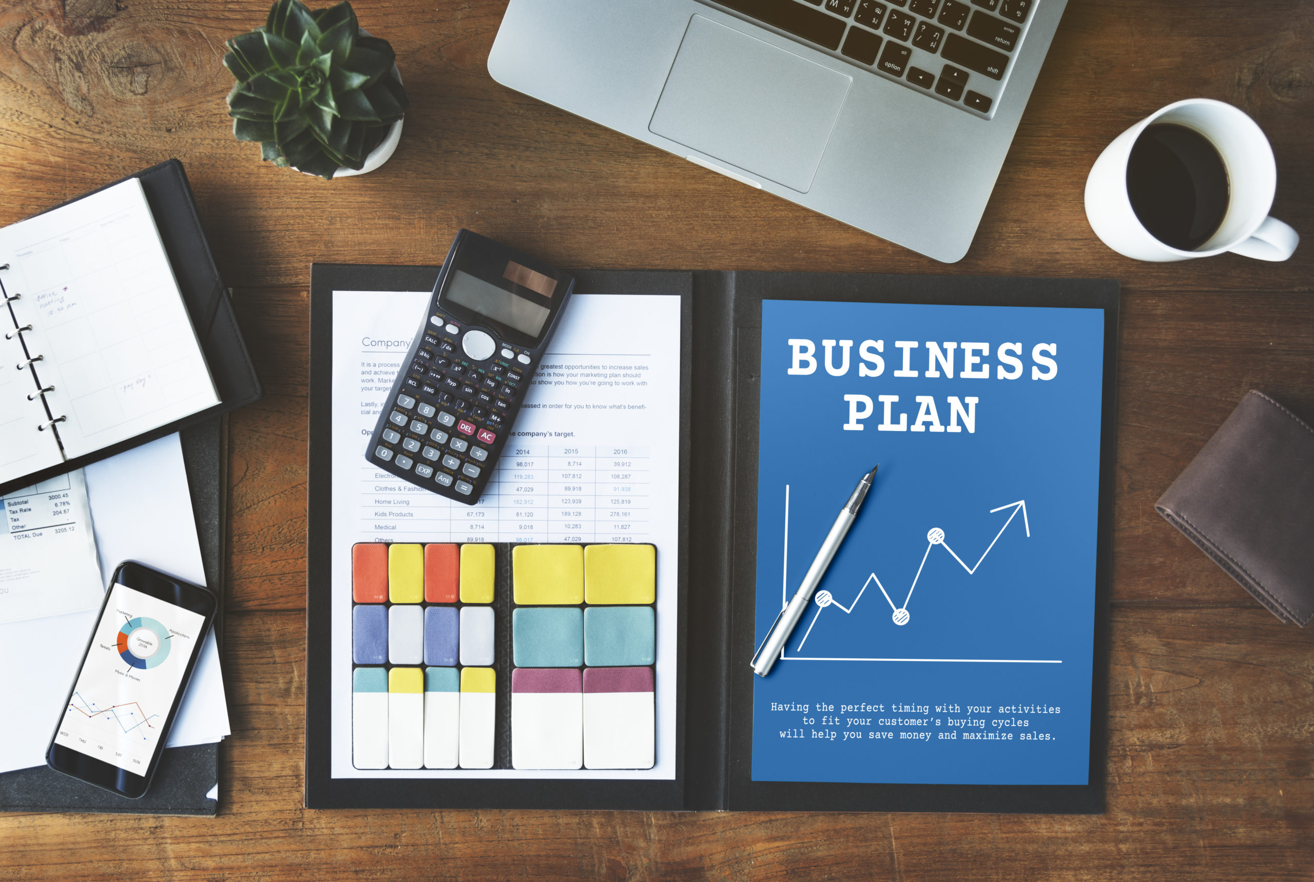 Successful Business/ objectives of a business plan